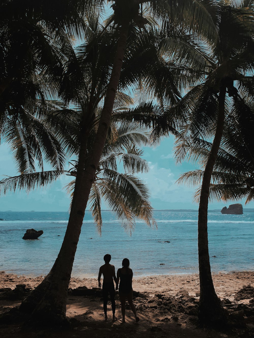 man and woman standing under palm tree