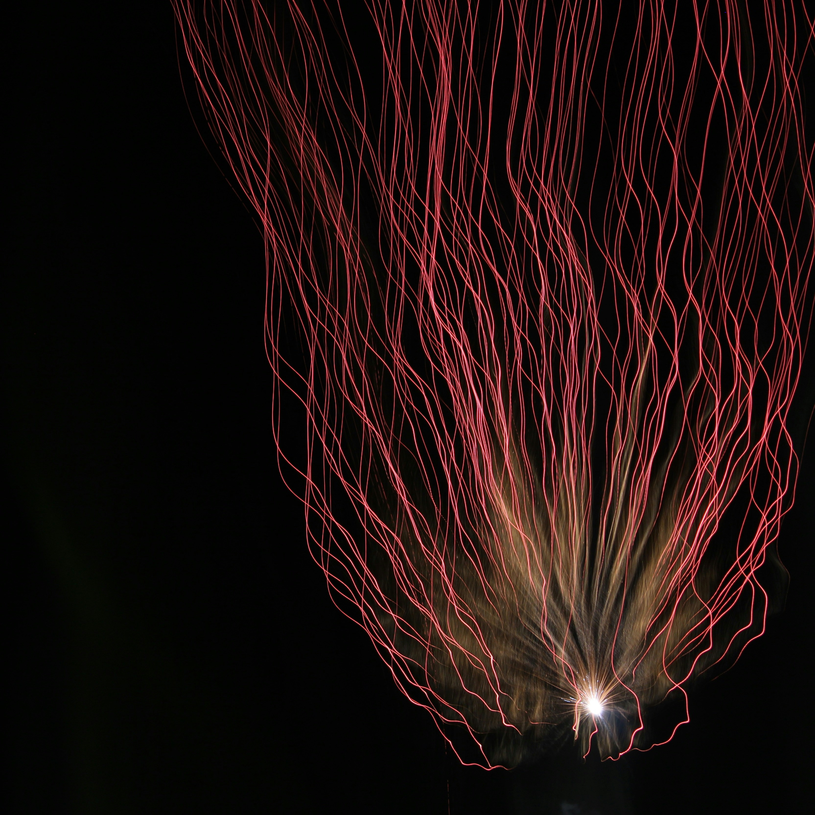 Photo by levi_midnight