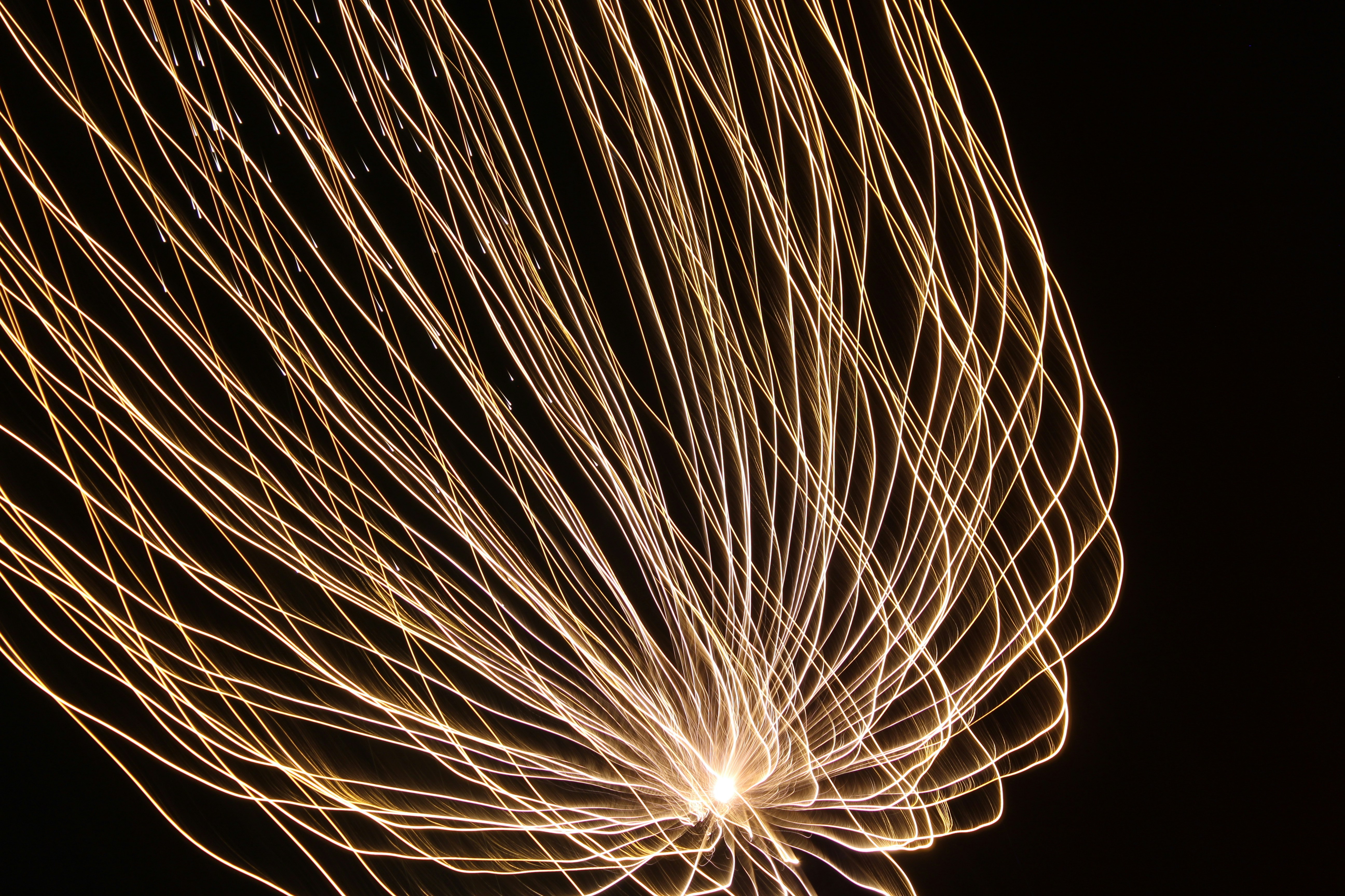 Photo by levi_midnight