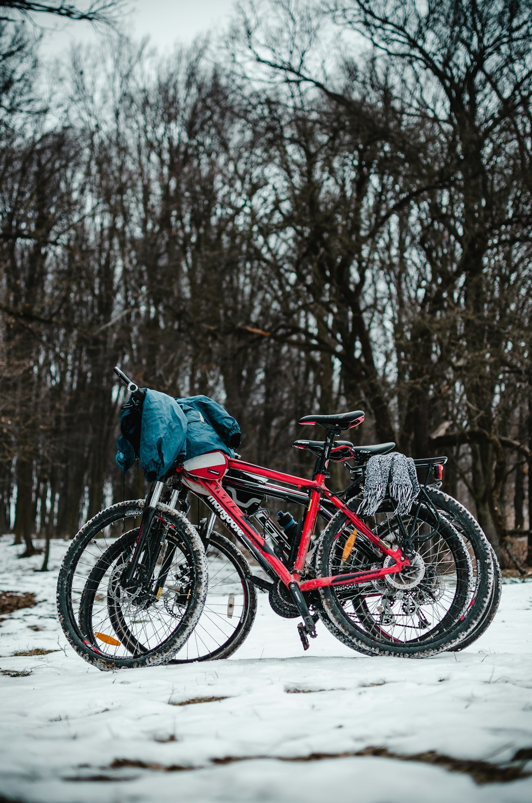 three mountain bikes on white lands