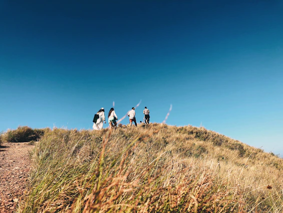 A group of diverse individuals training outdoors on a sunny prairie hill, smiling and encouraging each other.