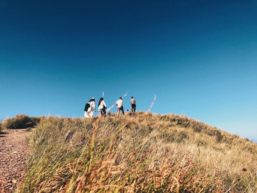 four people standing on hill