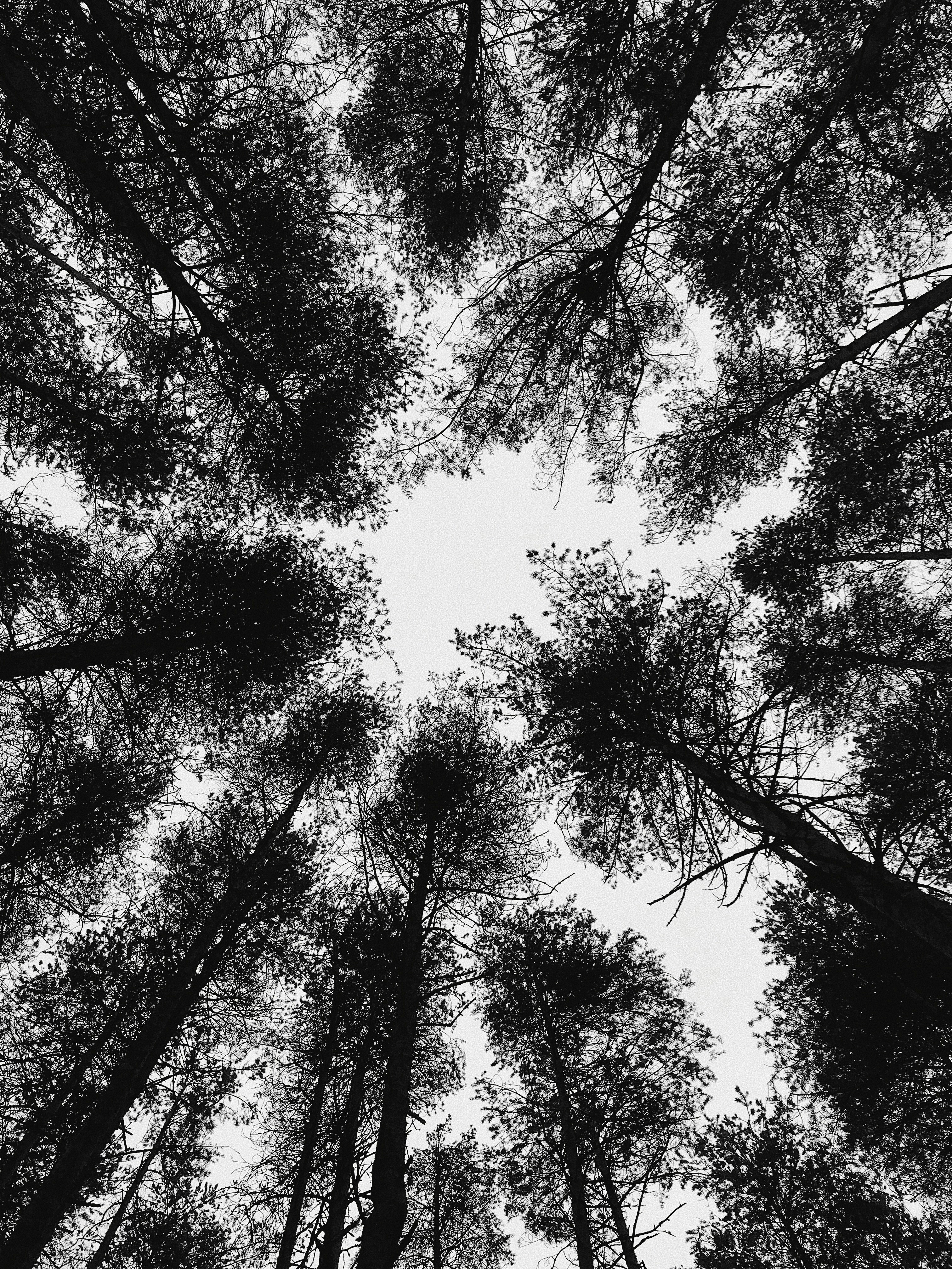 Photo by shklyaevmax