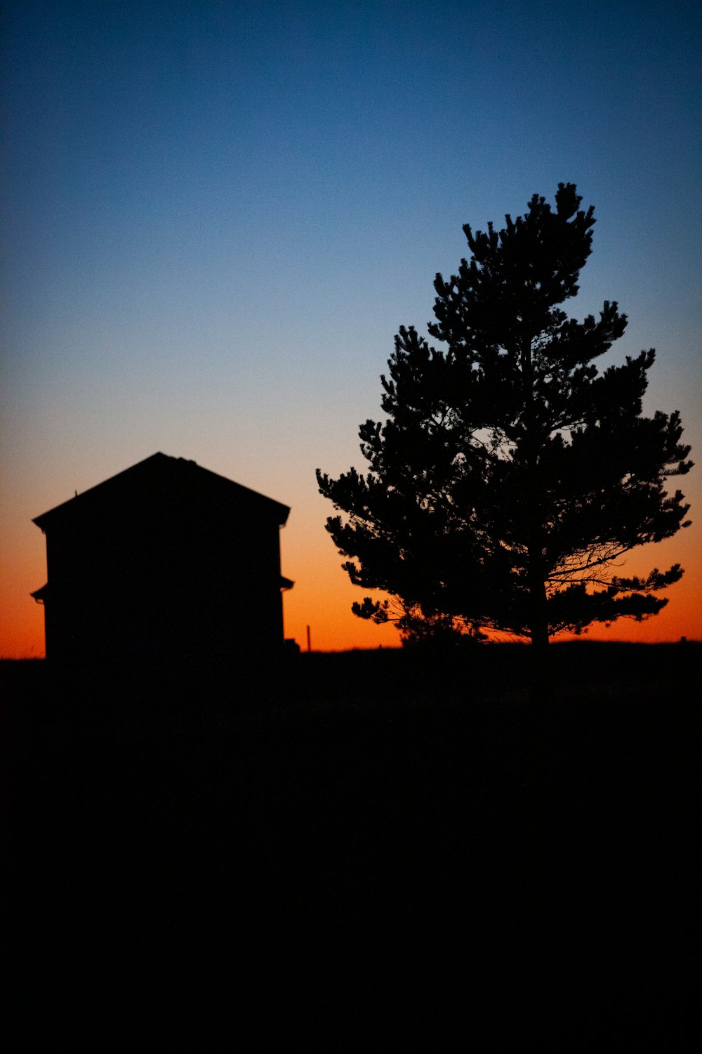silhouette of house and tree during golden hour