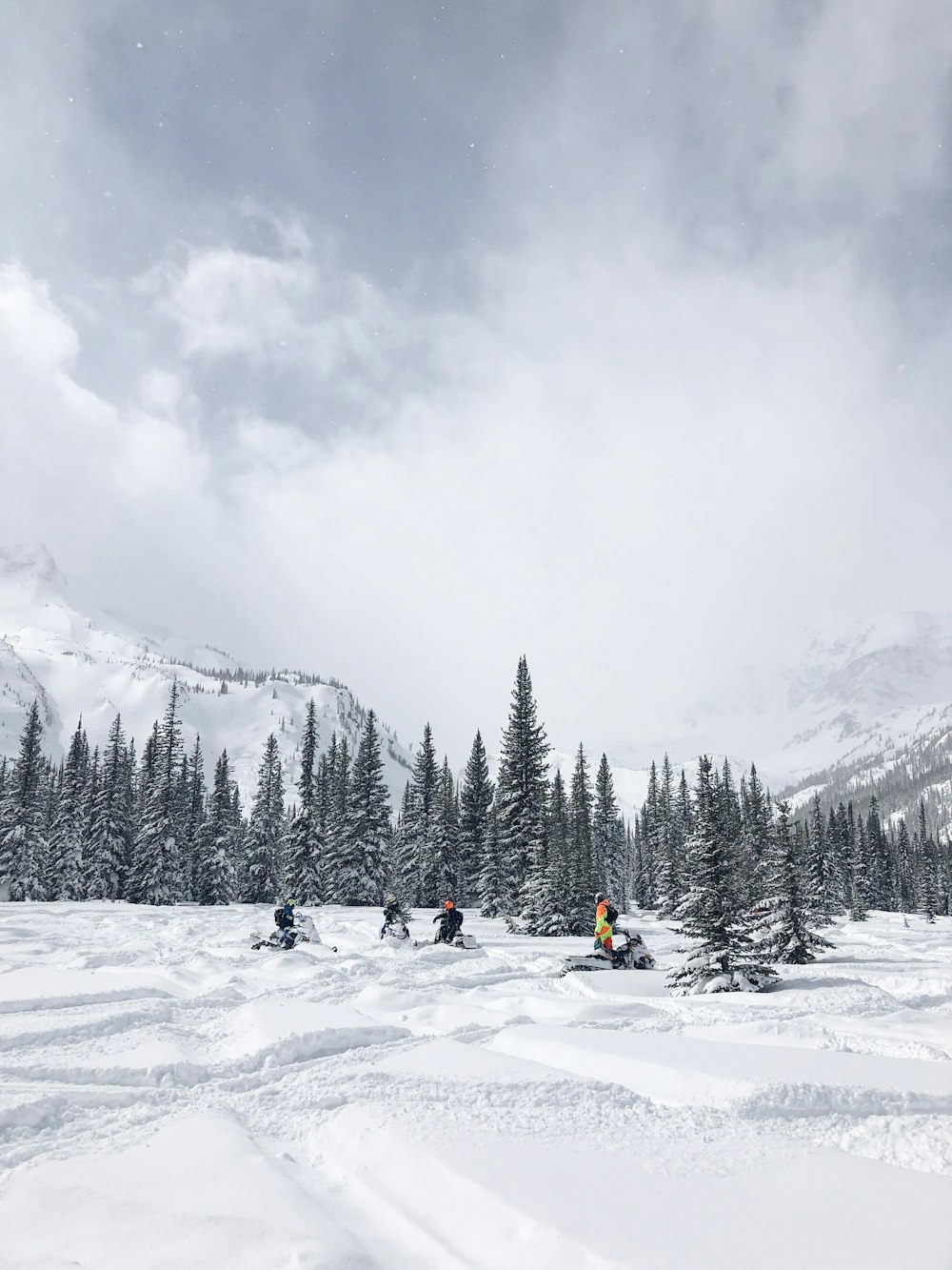 people on snowmobile