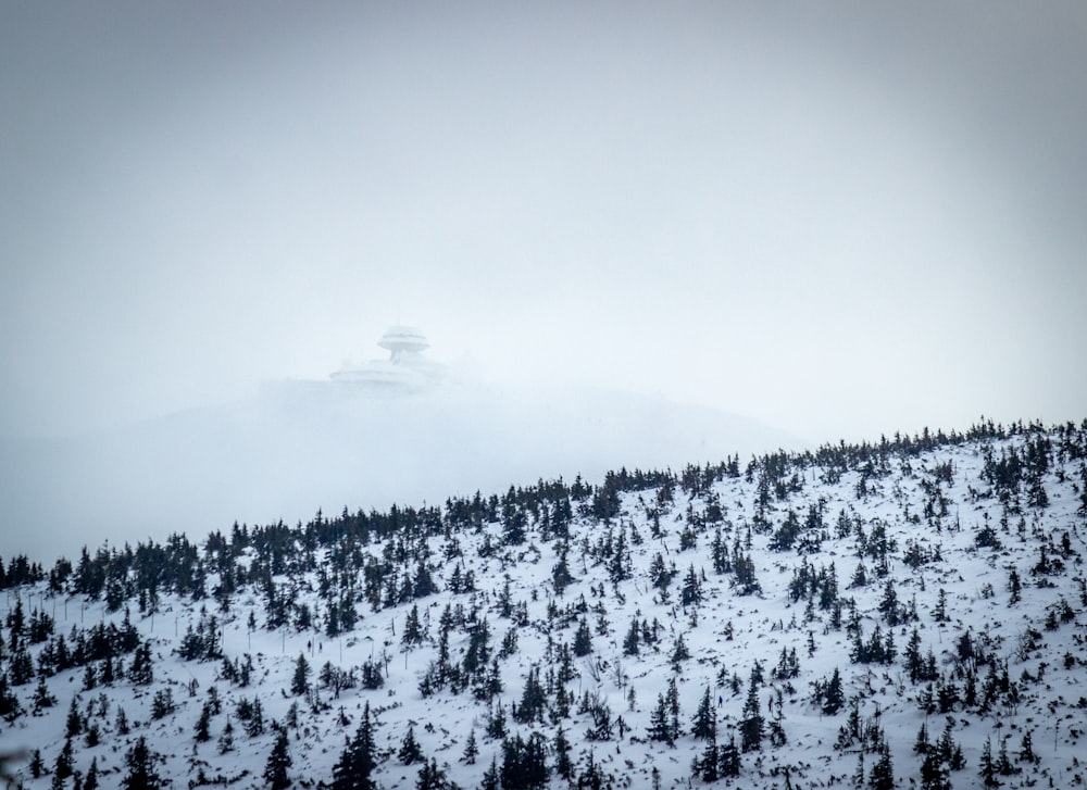 aerial view on icy mountain