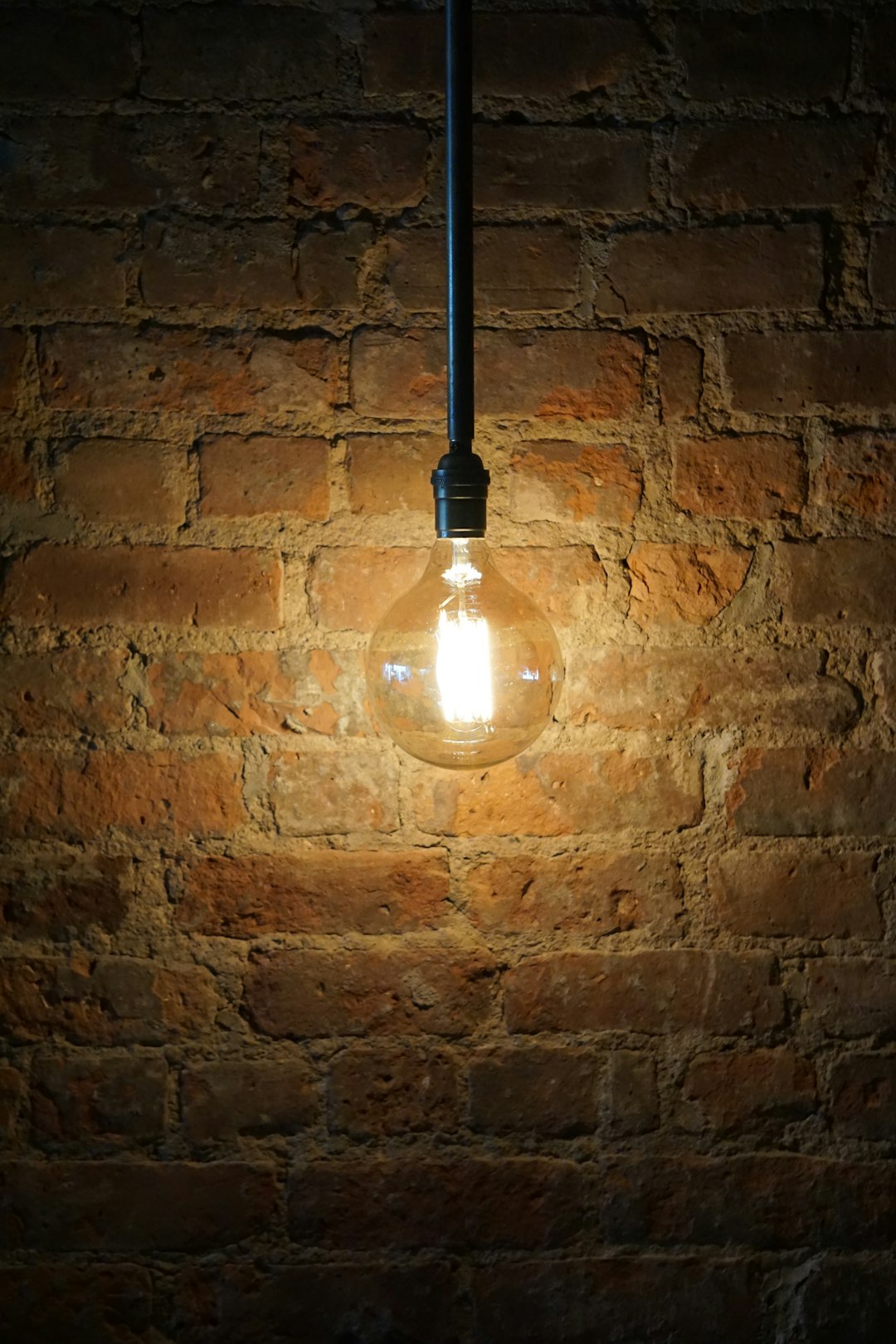 brown lighted bulb