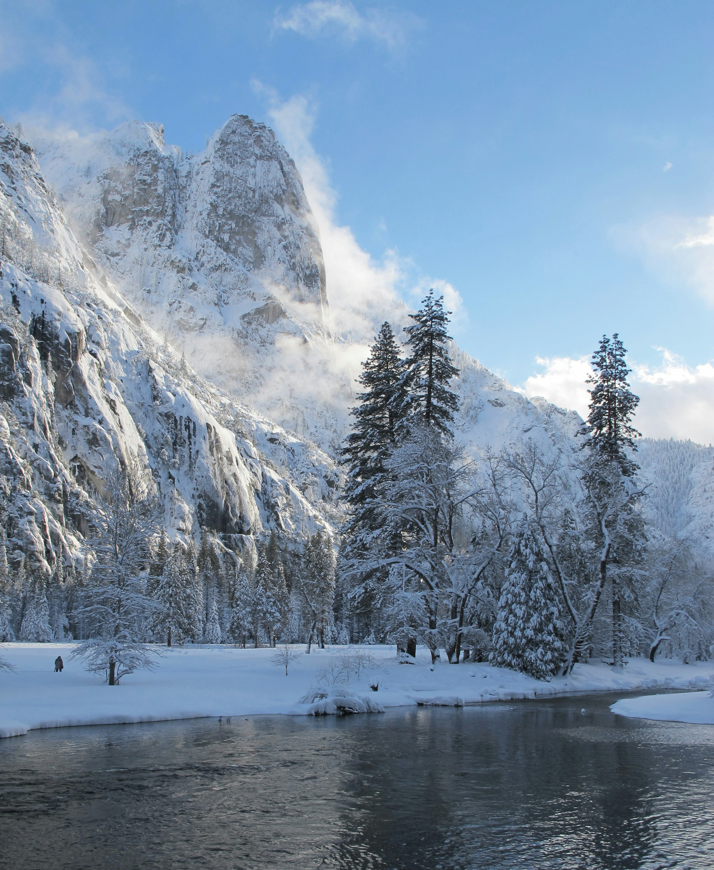 Montagna ghiacciata e pini