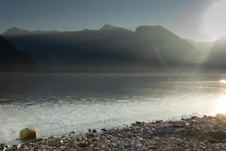 Bakti swimming in an early morning lake, sunlight sparkling on the water.
