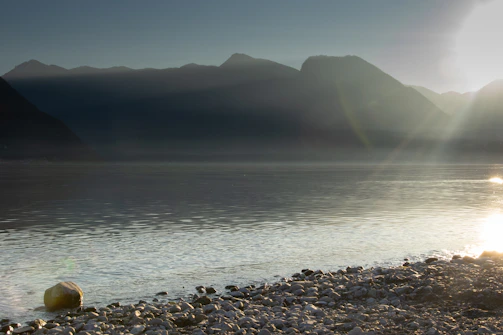 Bakti swimming in an early morning lake, sunlight sparkling on the water.