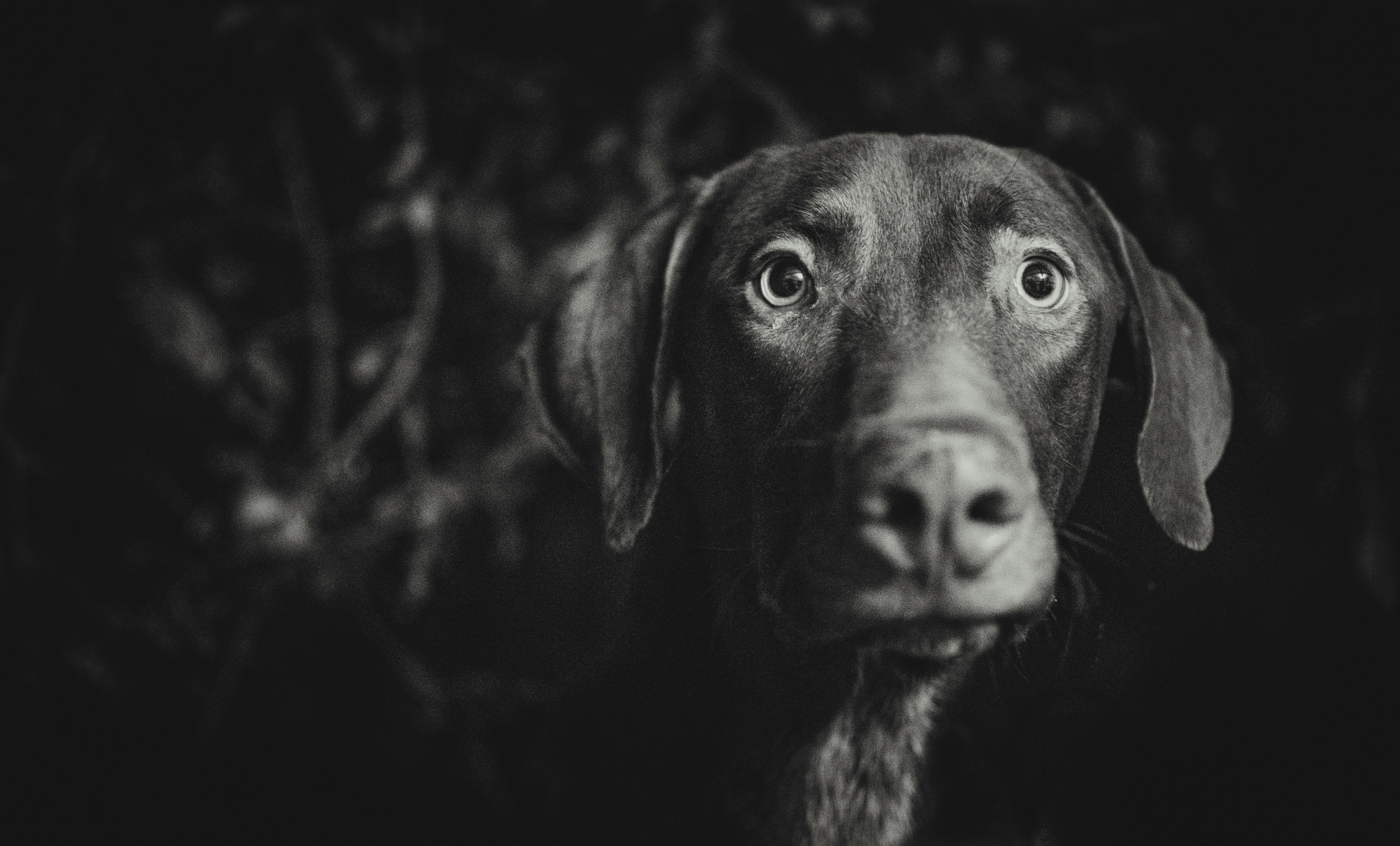 Photo by epifaniaemprendedora