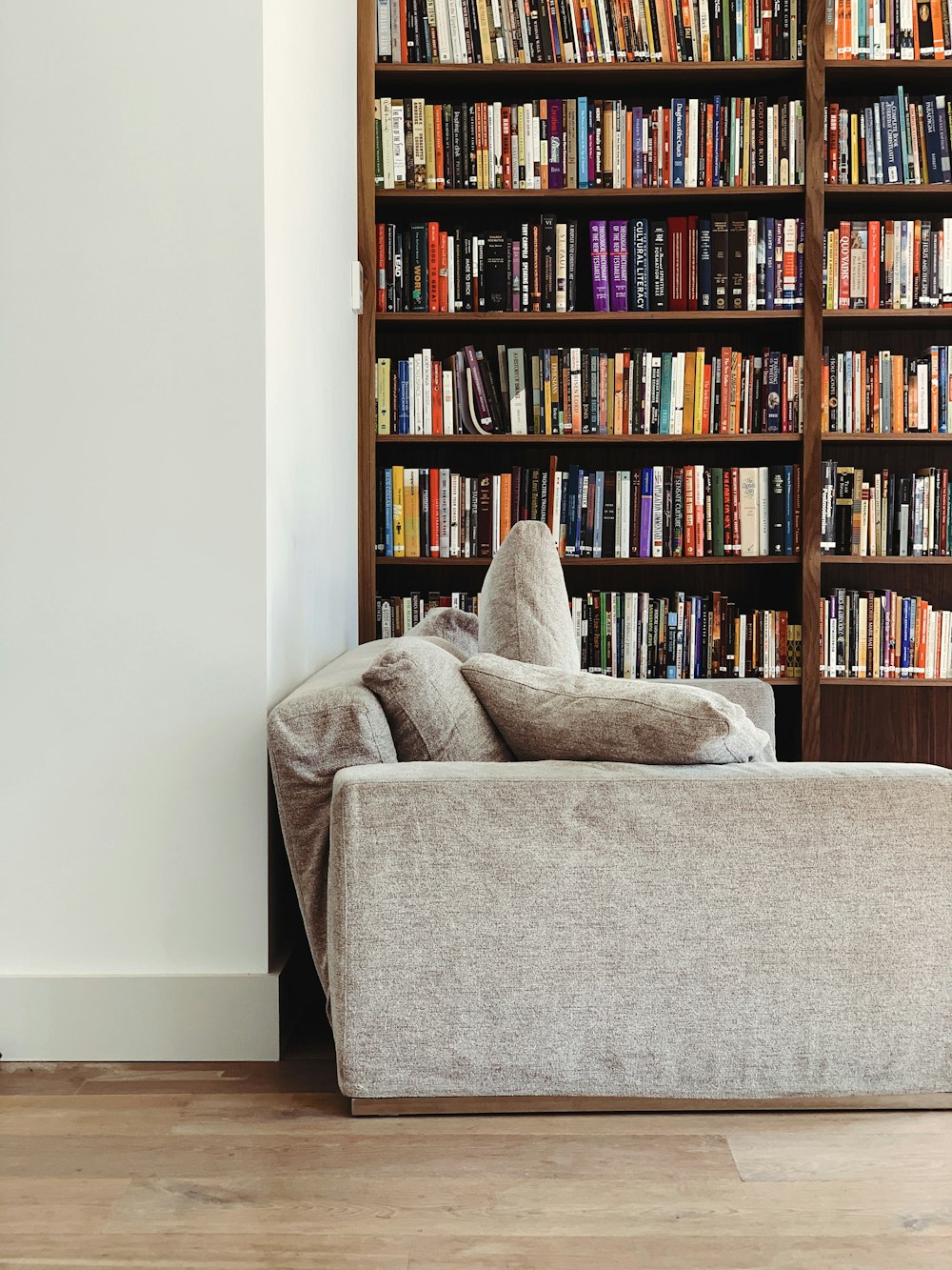 gray couch across bookshelf
