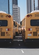 A fleet of modern buses lined up at a city terminal during sunrise.