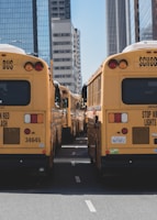 A fleet of buses parked at sunrise ready for a day of passenger transport.