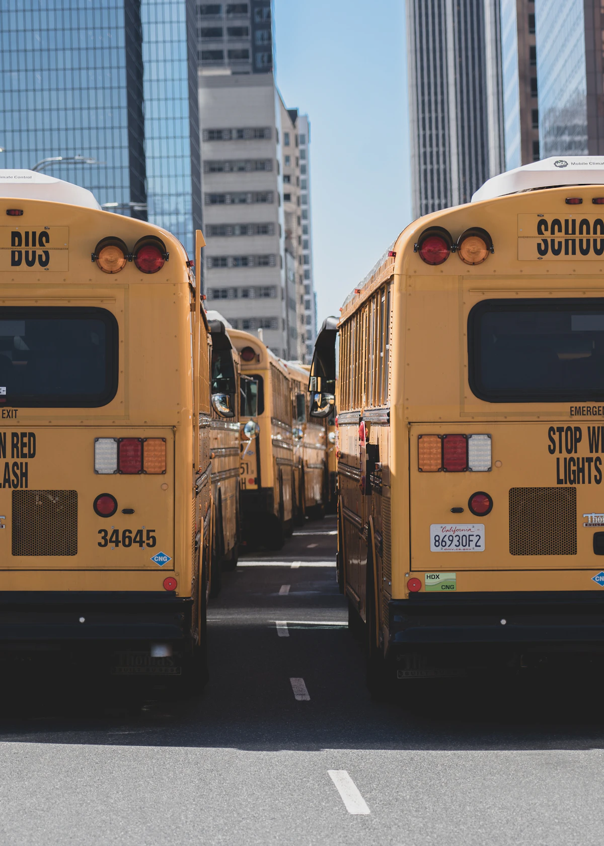 Texas School Bus Laws  Bus Stop Safety