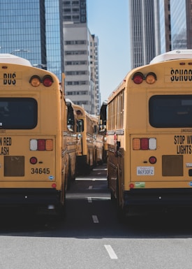 Several yellow school buses arranged in two parallel rows are parked on a street between tall modern buildings. The buses are facing away, showing their backs with distinct red and amber lights, emergency exit markings, and license plates. Bright sunlight illuminates the scene, casting clear shadows.