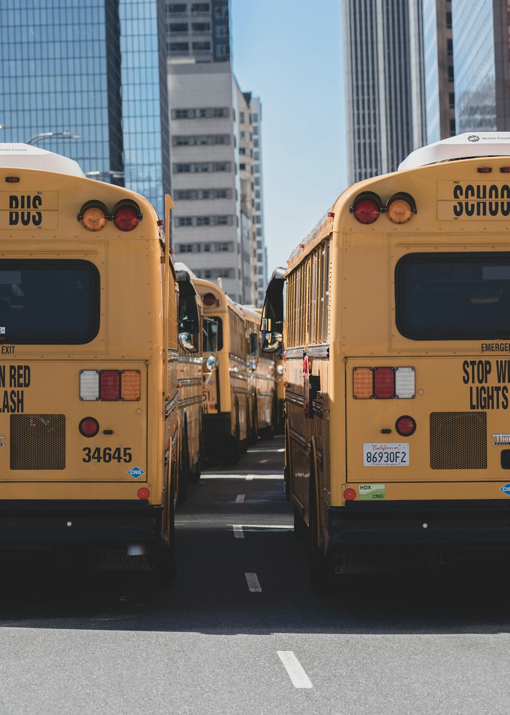 Autobuses escolares en carretera durante el día