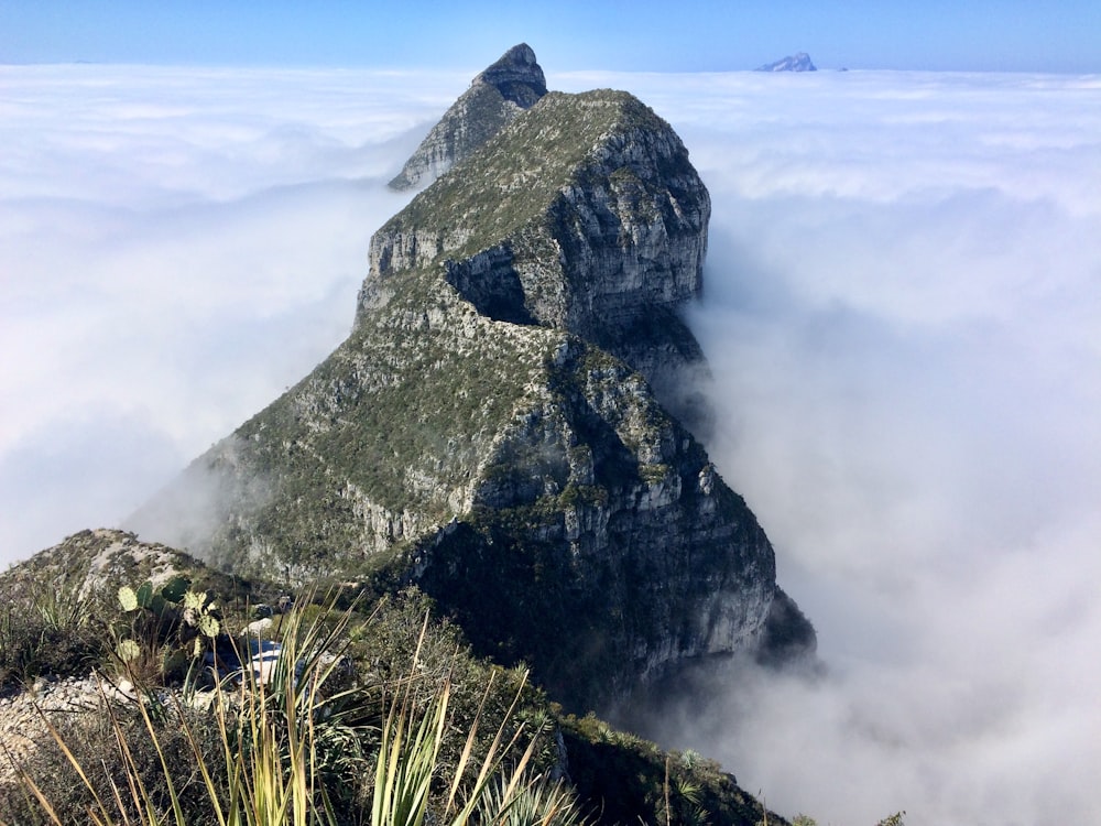 Montagna marrone