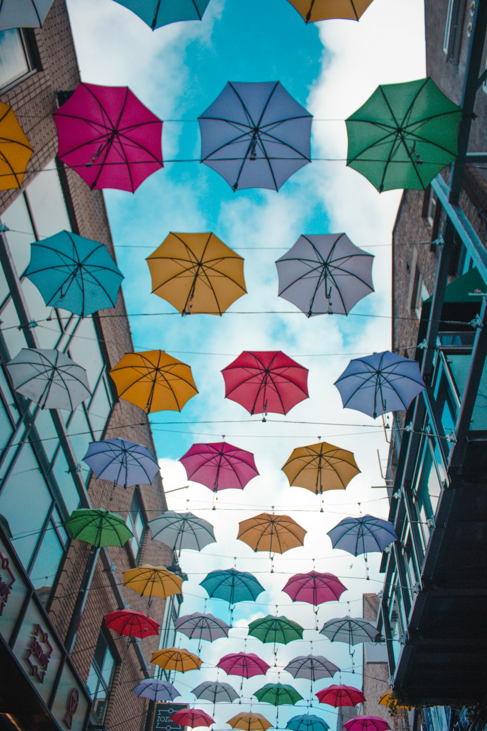 floating umbrellas