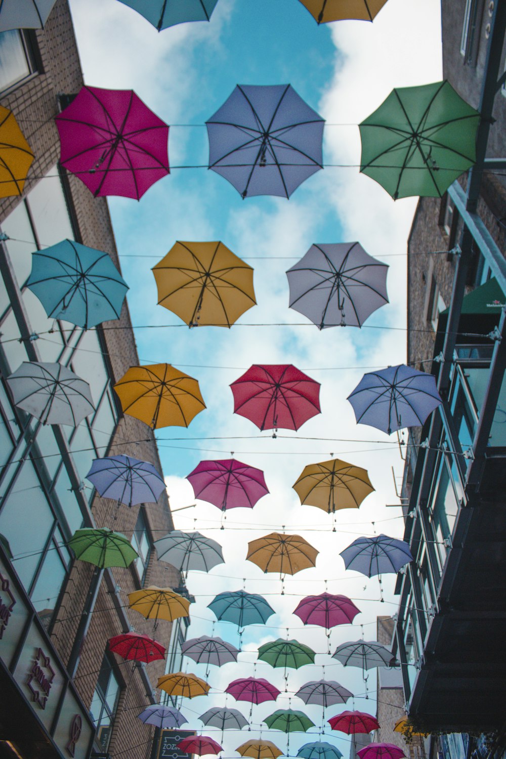 floating umbrellas