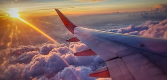 dog summer travel tips airplane flights