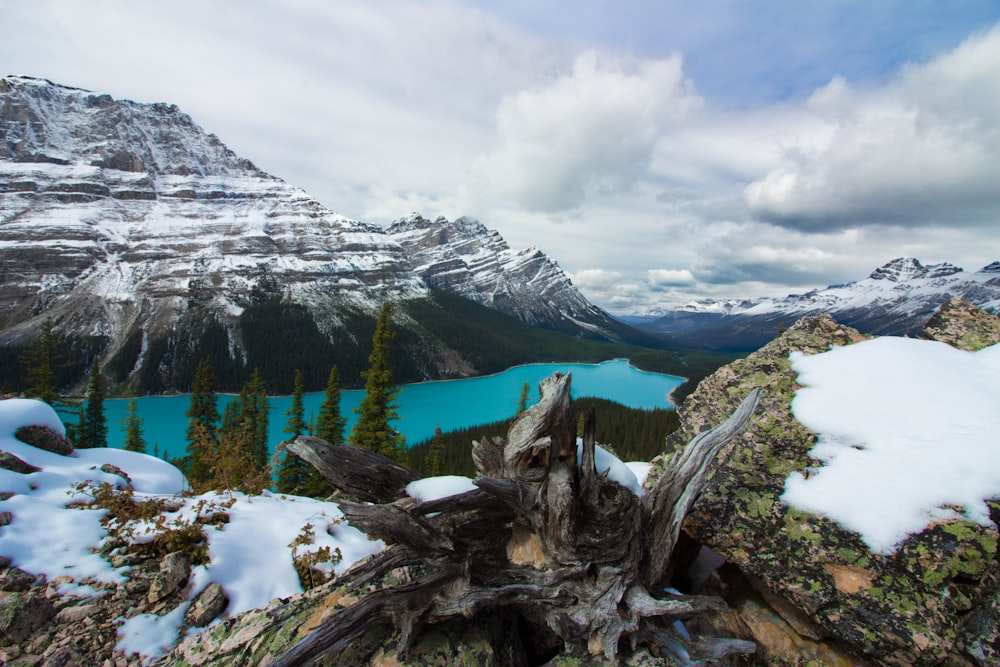 aerial photography of blue body of water between mountains