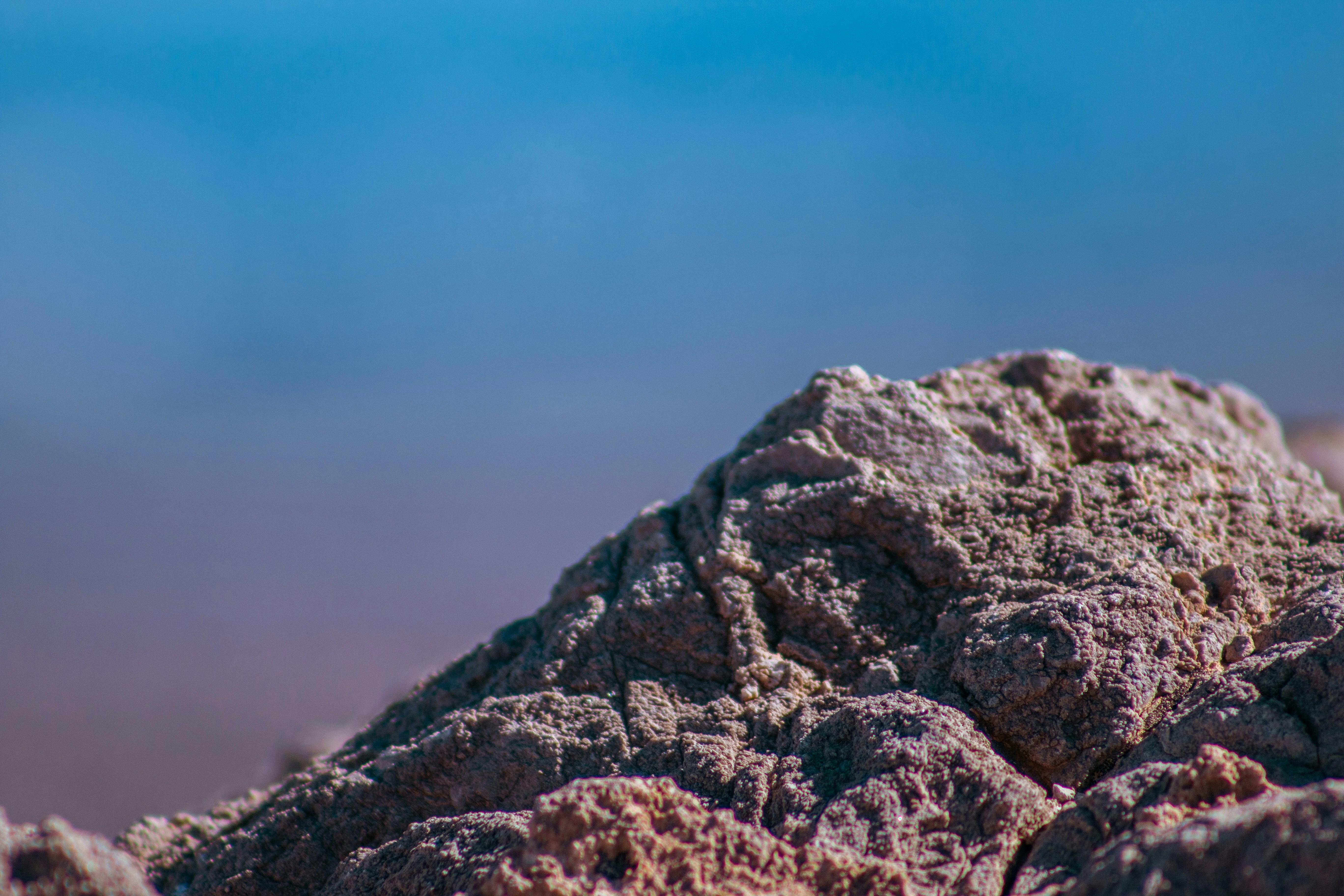 Photo by toranzocaleb