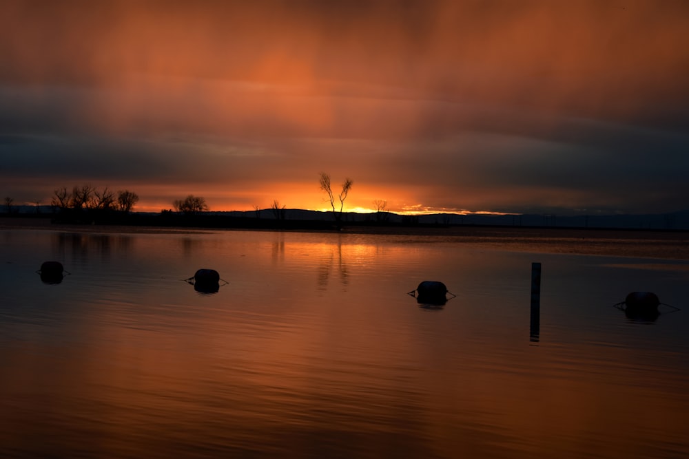 calm body of water