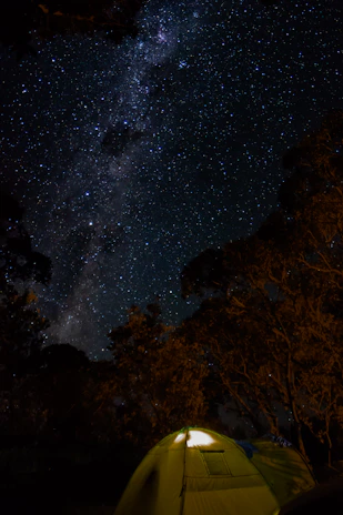 Star-filled night sky over a peaceful desert campfire setting.