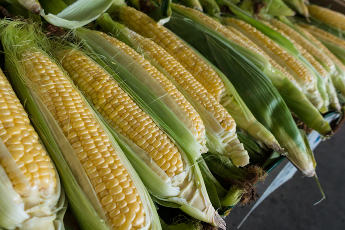 Corn cob processing