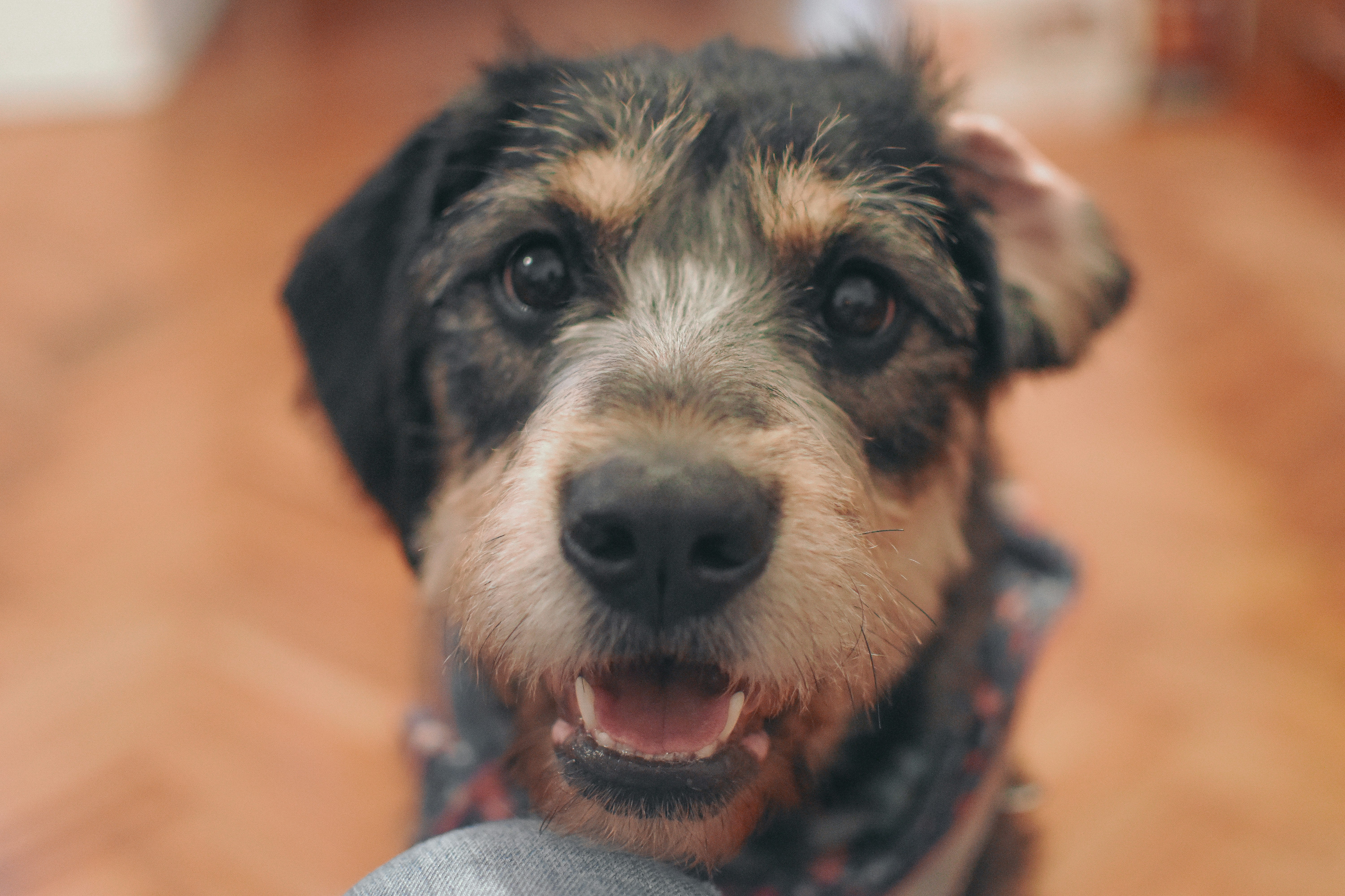 Photo by melspadawan