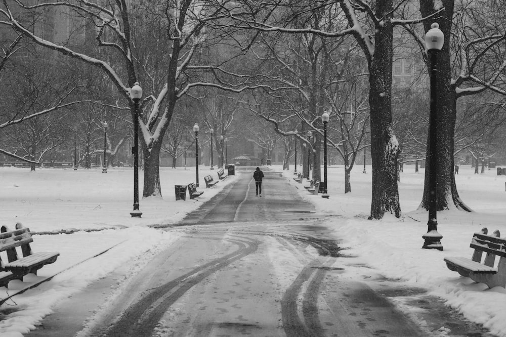 person on road covered with snow