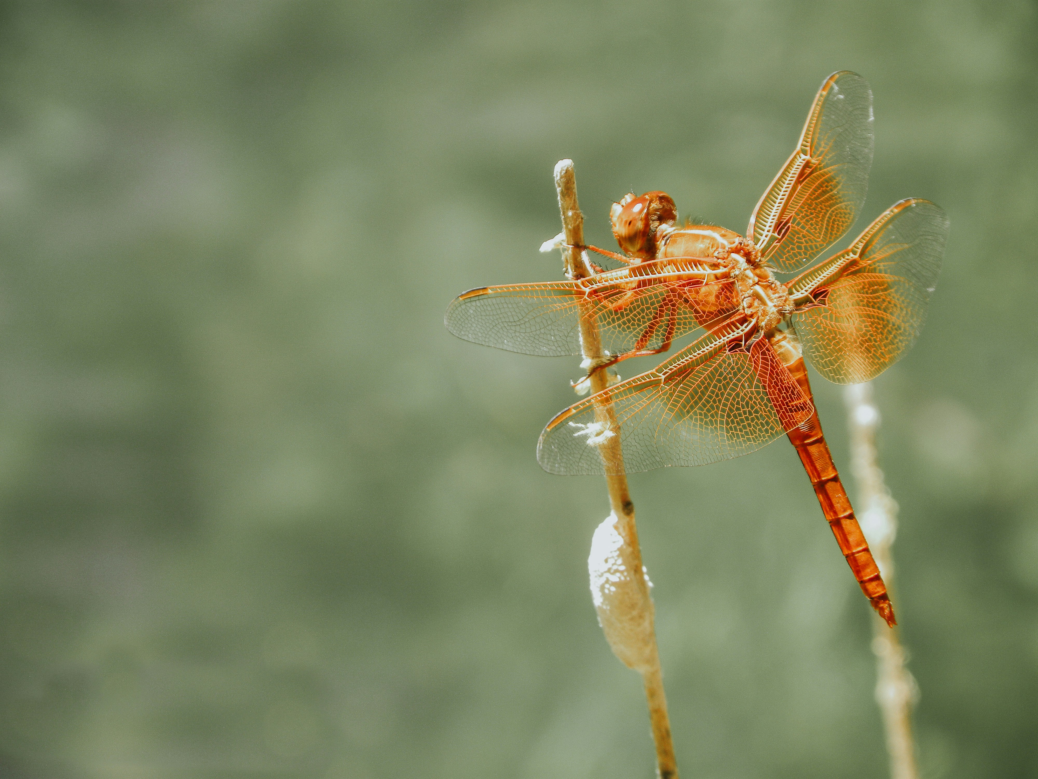 Photo by seitamaaphotography