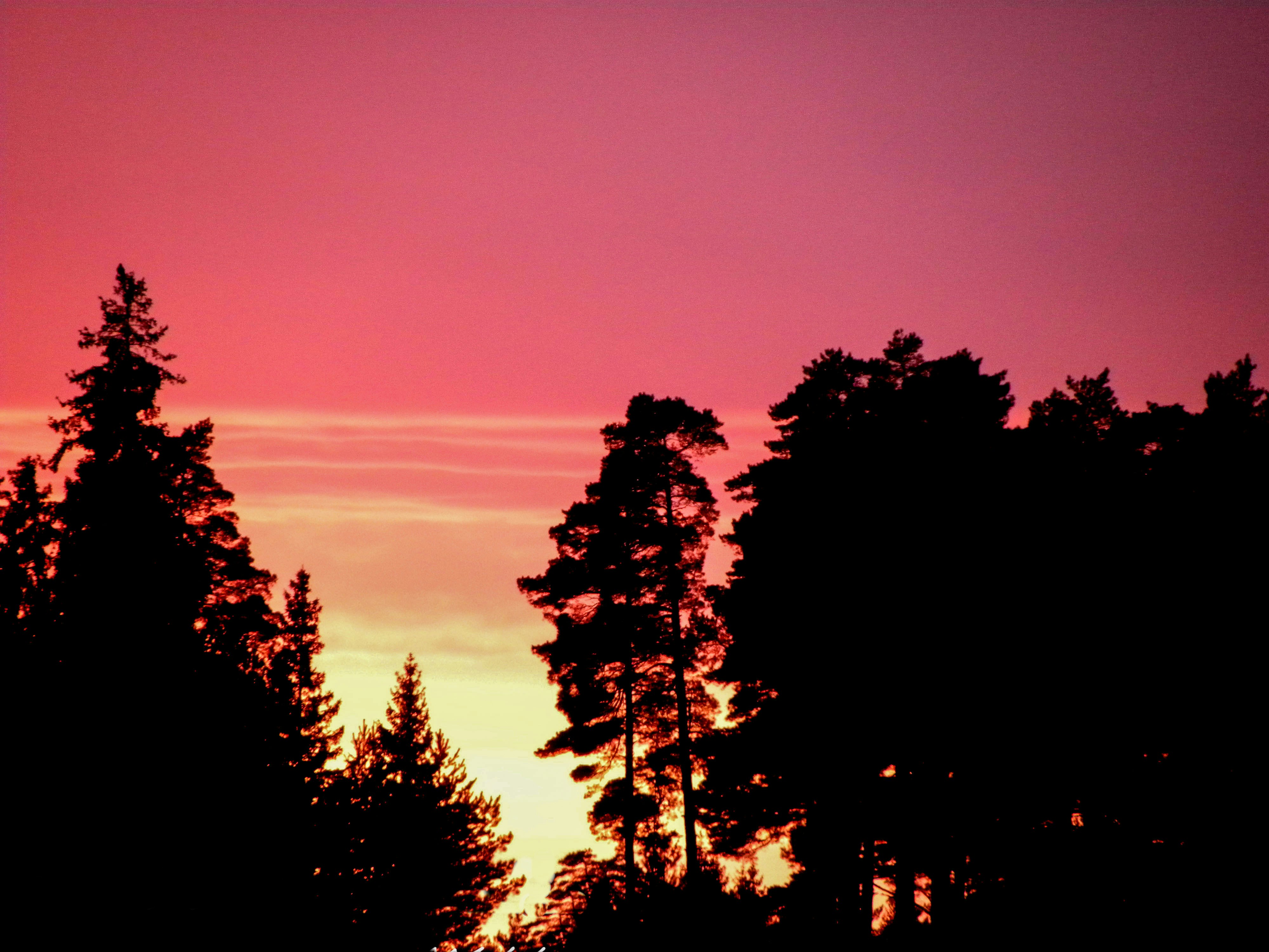 Photo by seitamaaphotography