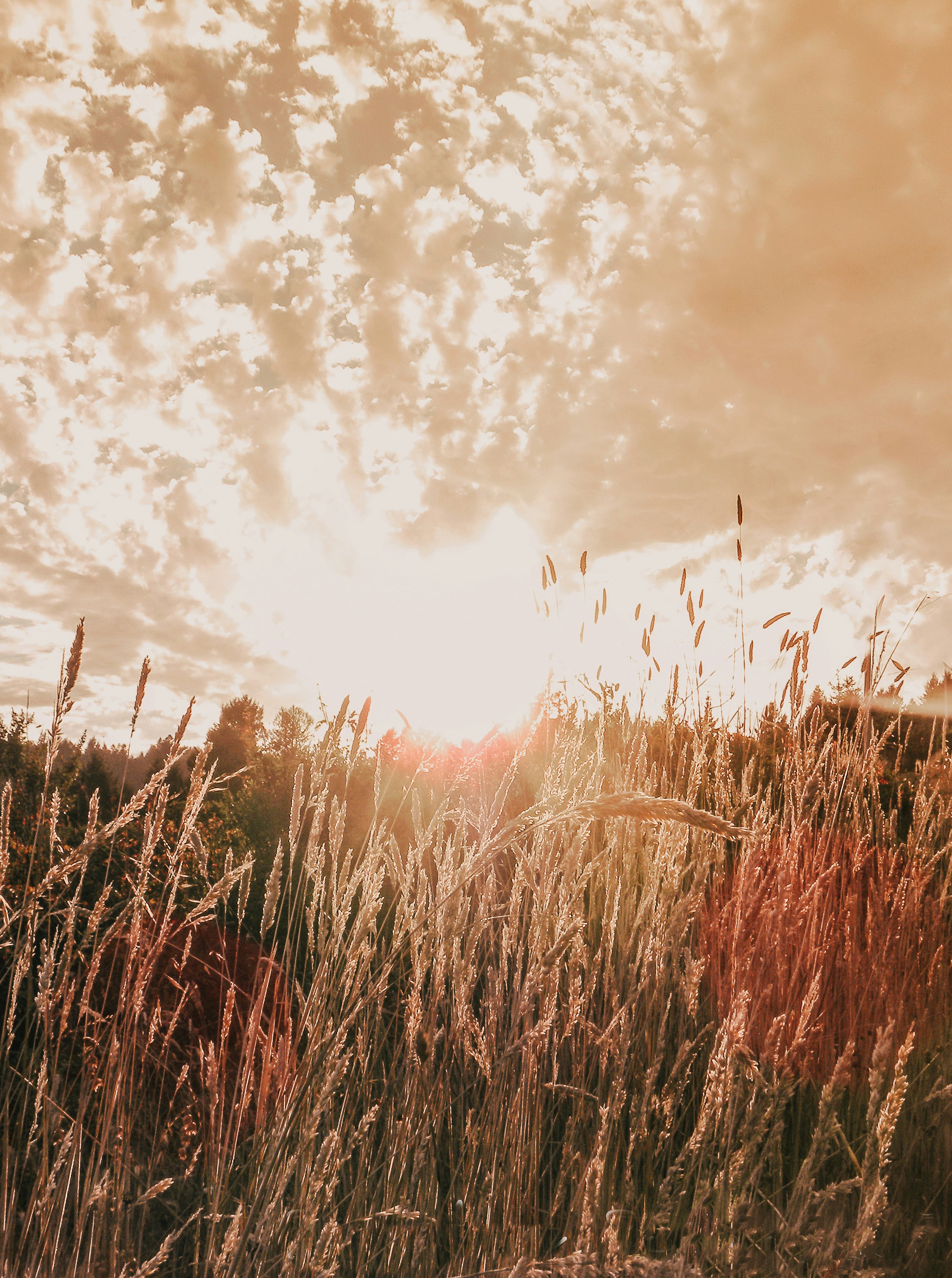 Photo by seitamaaphotography