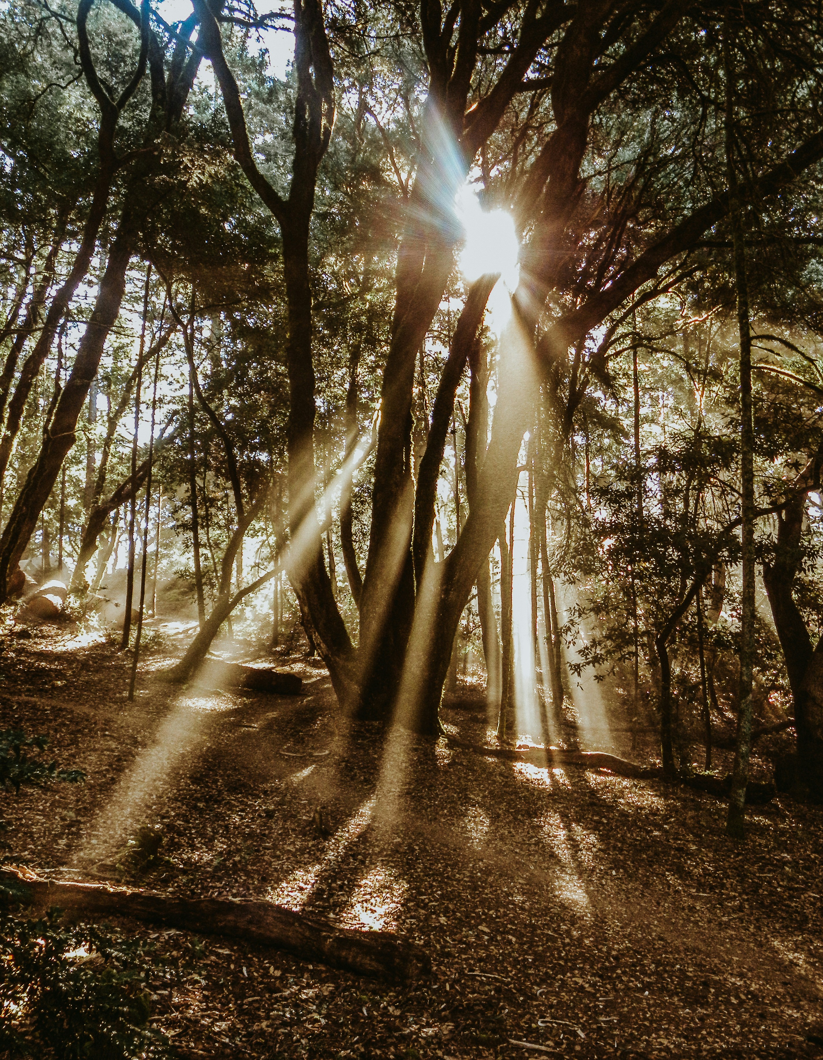 Photo by seitamaaphotography