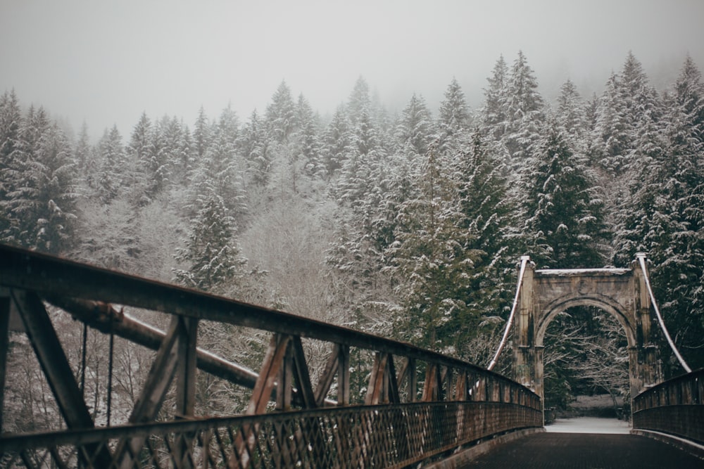 brown metal bridge near green leaf trees