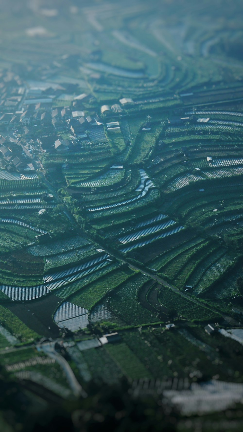 green field during daytime