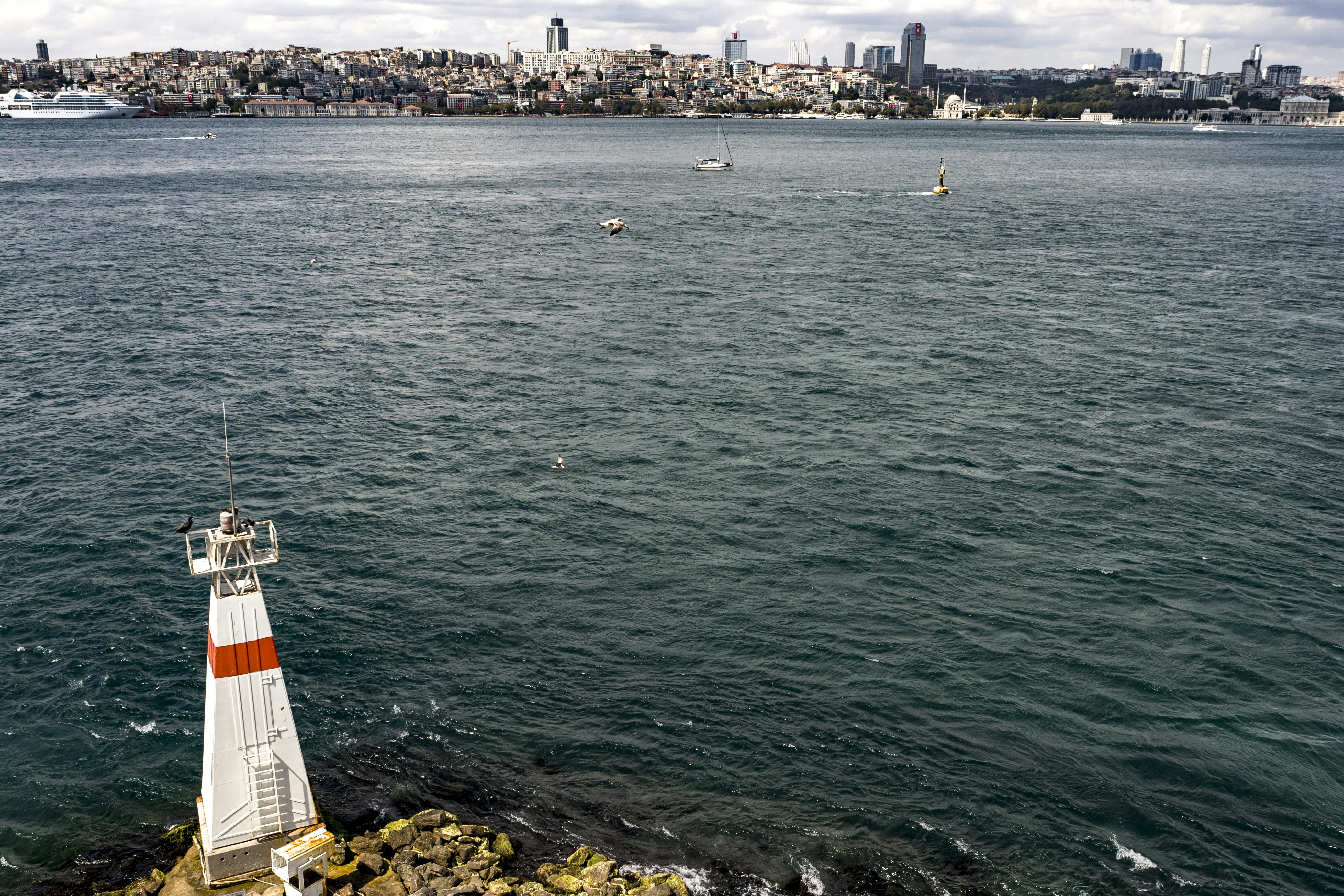 White and red lighthouse on cliff during daytime photo – Free Grey ...