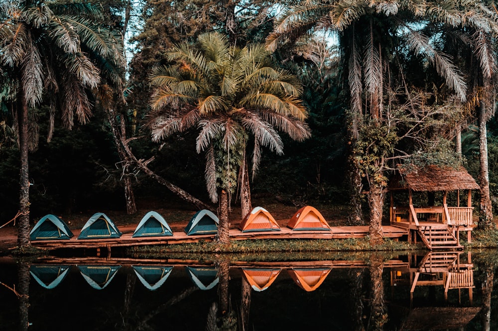 six green and orange camping tents set up beside cottage