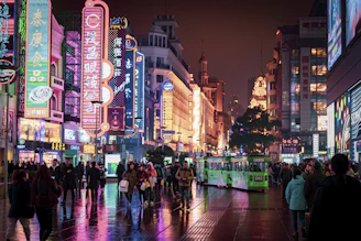 people walking and standing at the streets of the city during night