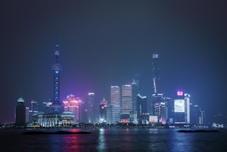 lighted city skyline during night