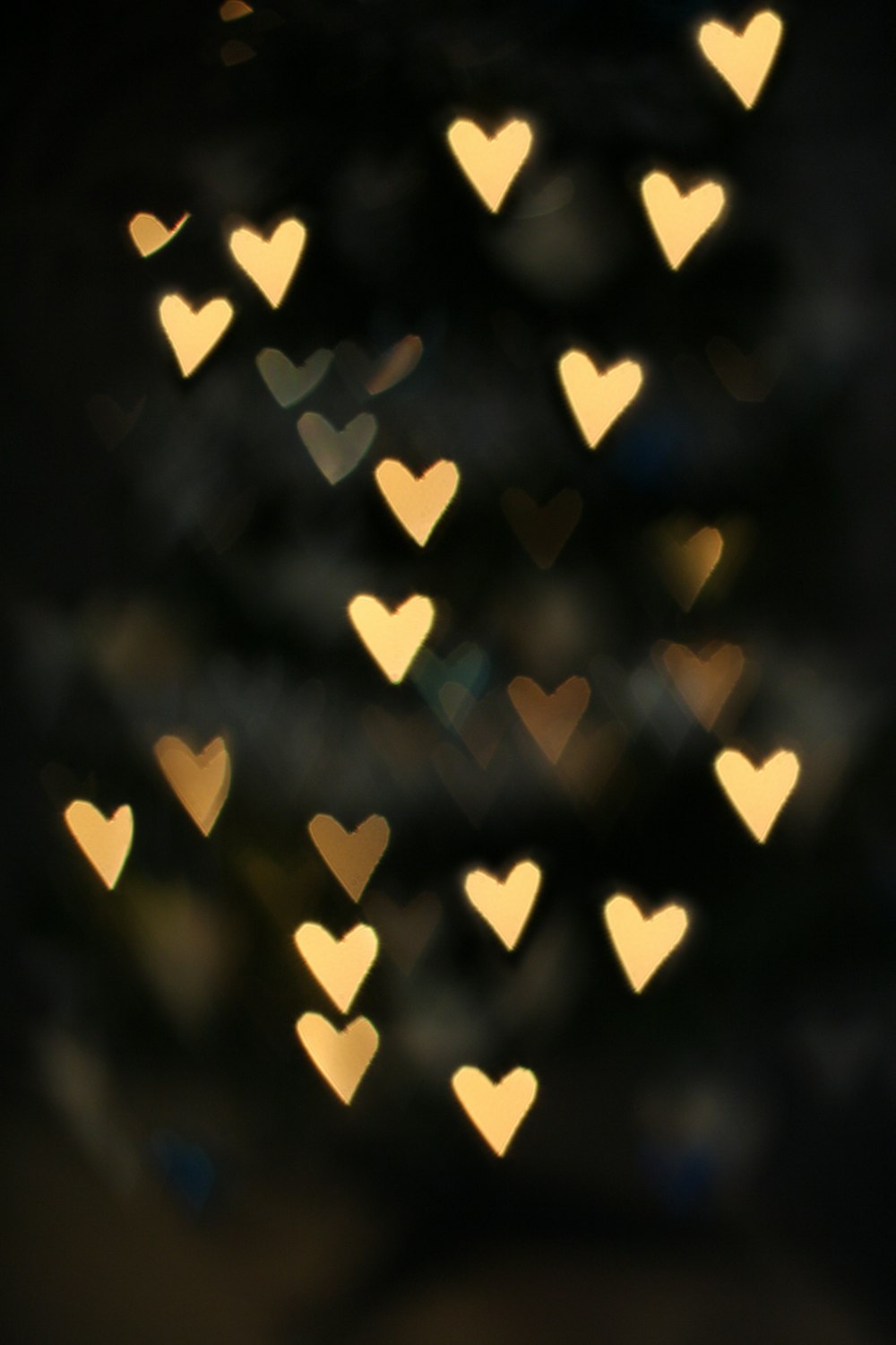 350+ Hearts Pictures | Download Free Images on Unsplash