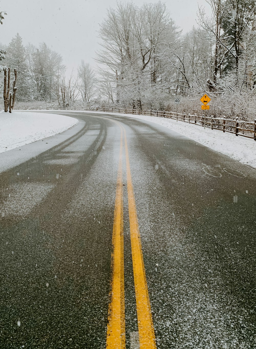 grey asphalt road between snow covered trees