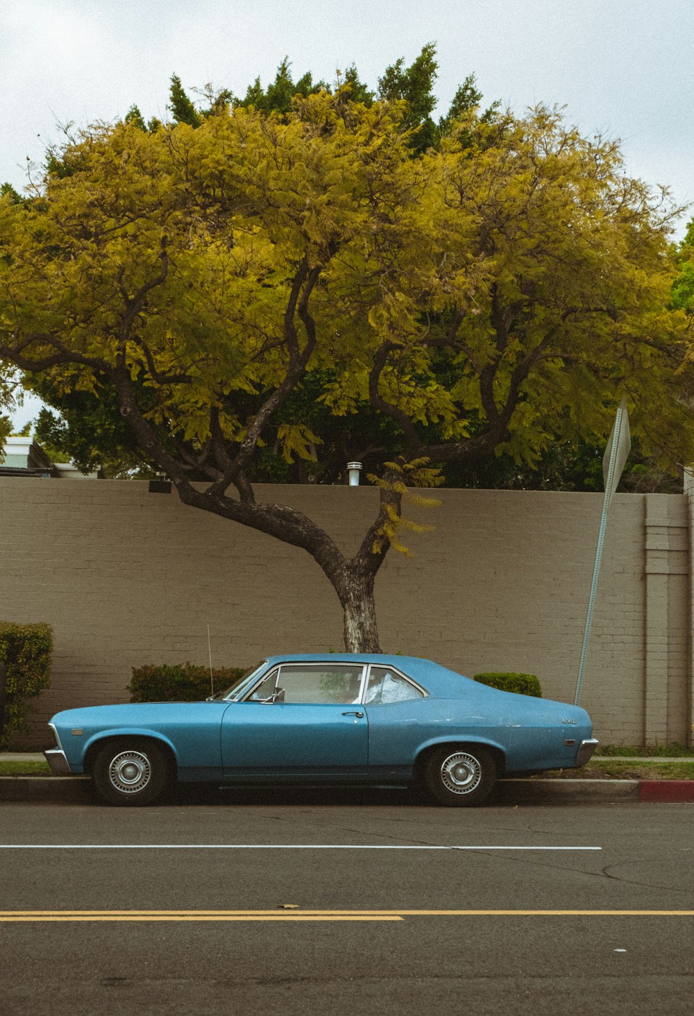 classic teal coupe parked at the side of the road beside tree