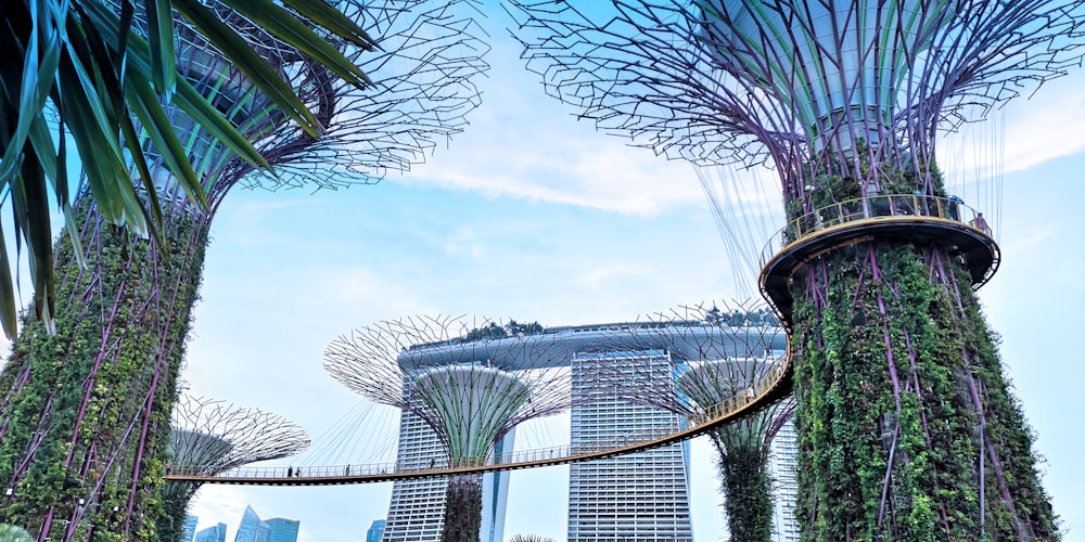 low-angle photography of Gardens by the Bay in Singapore