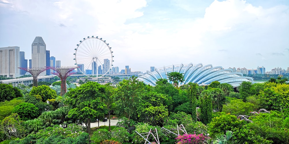 Gardens by the Bay, Singapore during daytime