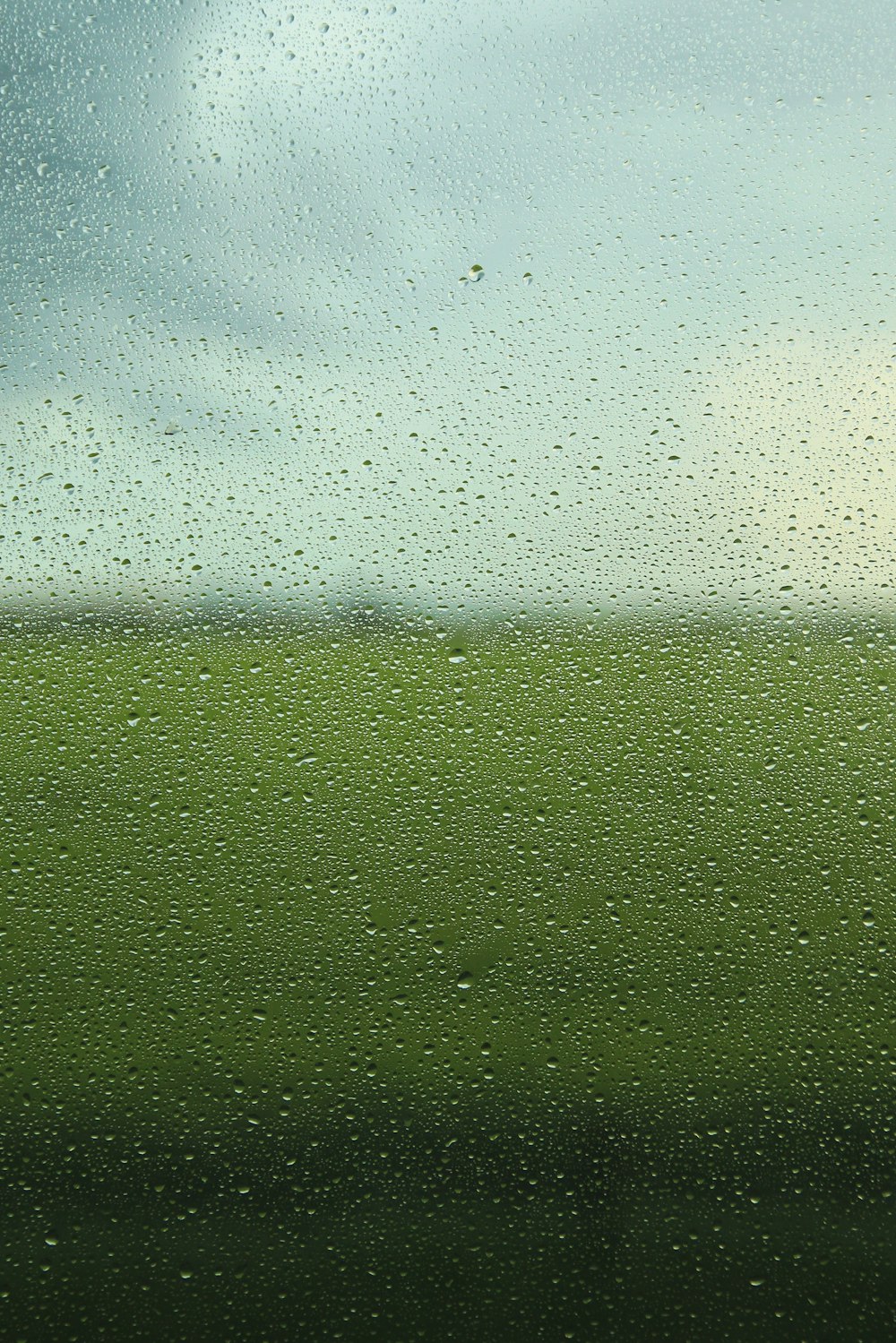 close-up photo of vehicle window with view of green grass during daytime