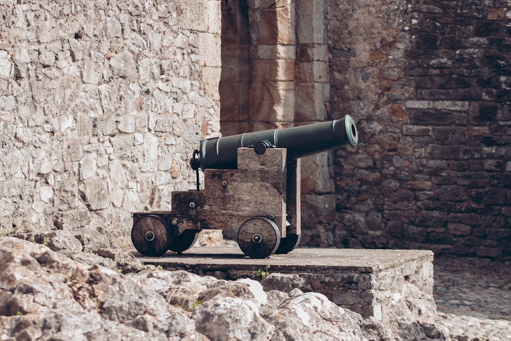 brown cannon