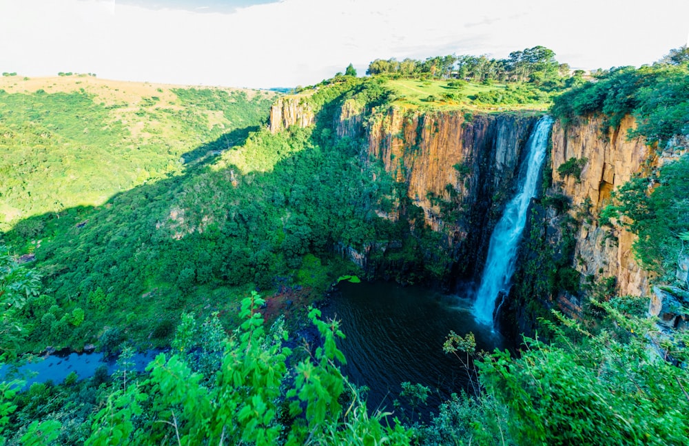 Campo de grama verde e árvores verdes na colina durante o dia